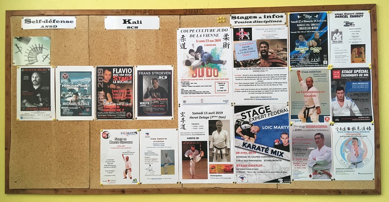 201903 Affichage stage dojo