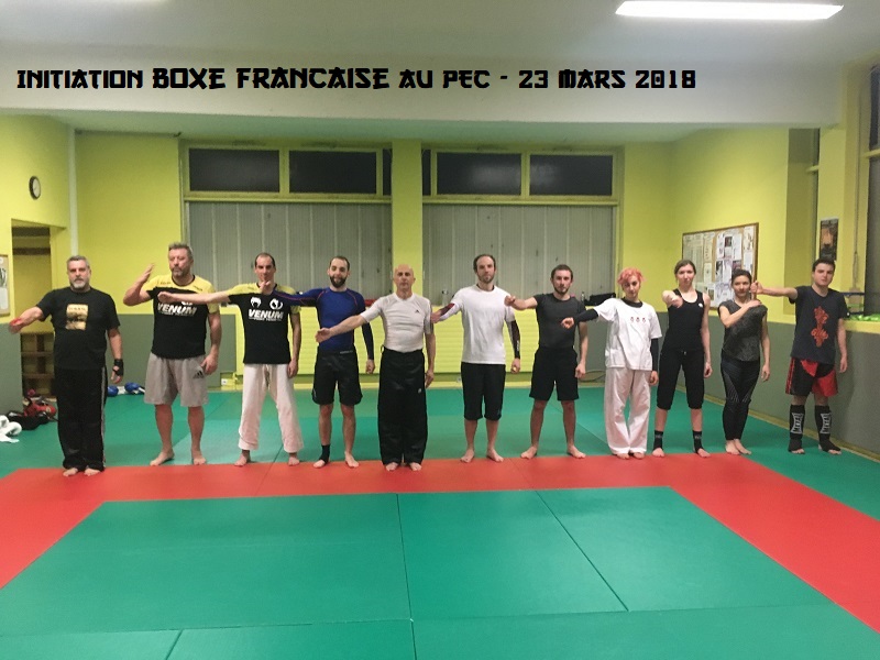 20180325 moving pec arts martiaux 20180323