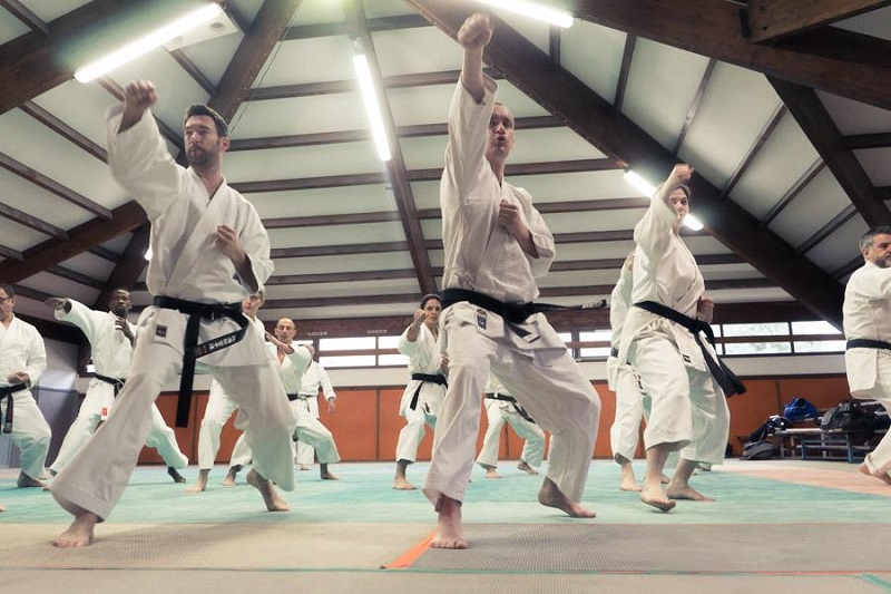 20180408 Jean François Tisseyre karate bressuire 2