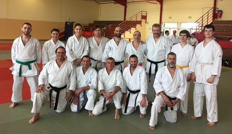 20190310 stage karate didier lupo parthenay